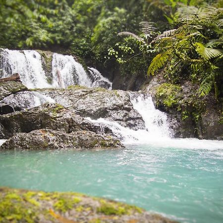 Naguala Jungle Lodge Drakes Bay エクステリア 写真