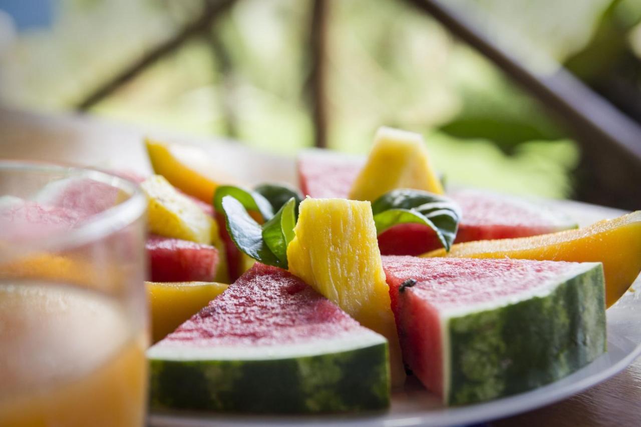 Naguala Jungle Lodge Drakes Bay エクステリア 写真
