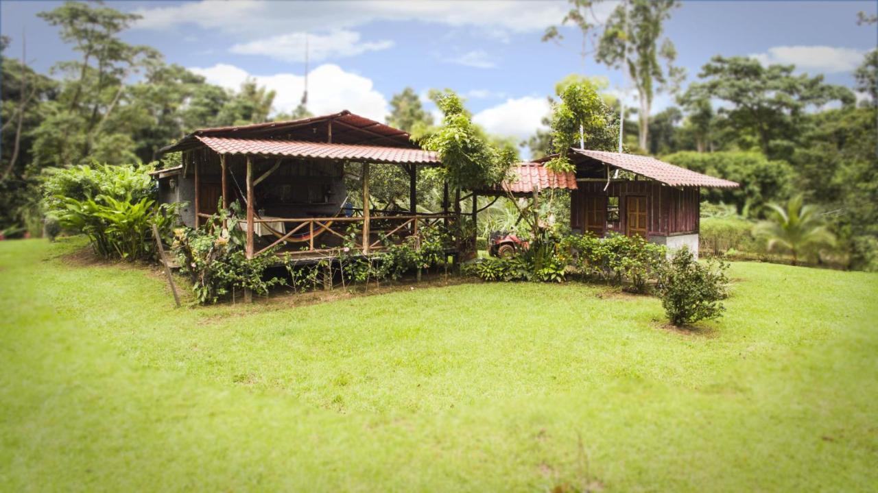 Naguala Jungle Lodge Drakes Bay エクステリア 写真