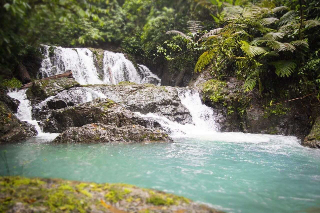 Naguala Jungle Lodge Drakes Bay エクステリア 写真