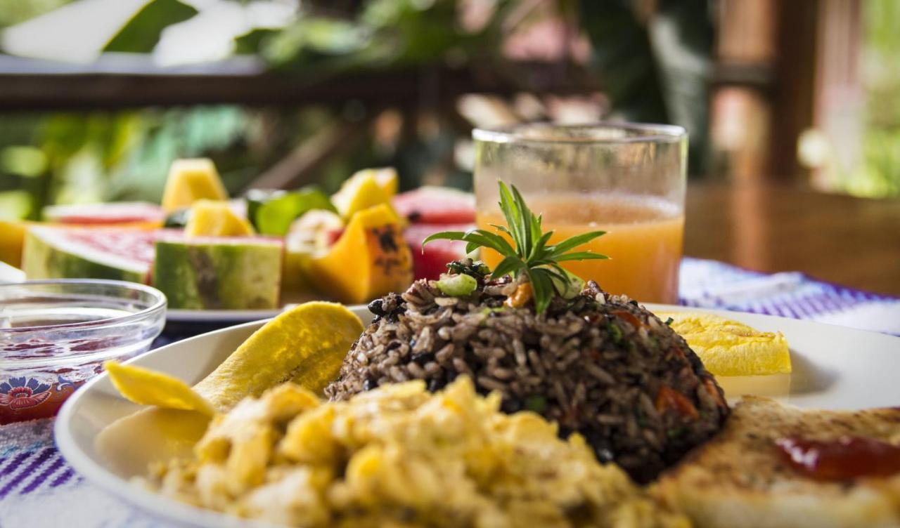 Naguala Jungle Lodge Drakes Bay エクステリア 写真