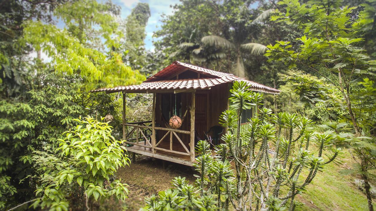 Naguala Jungle Lodge Drakes Bay エクステリア 写真