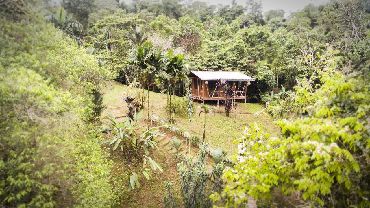 Naguala Jungle Lodge Drakes Bay エクステリア 写真