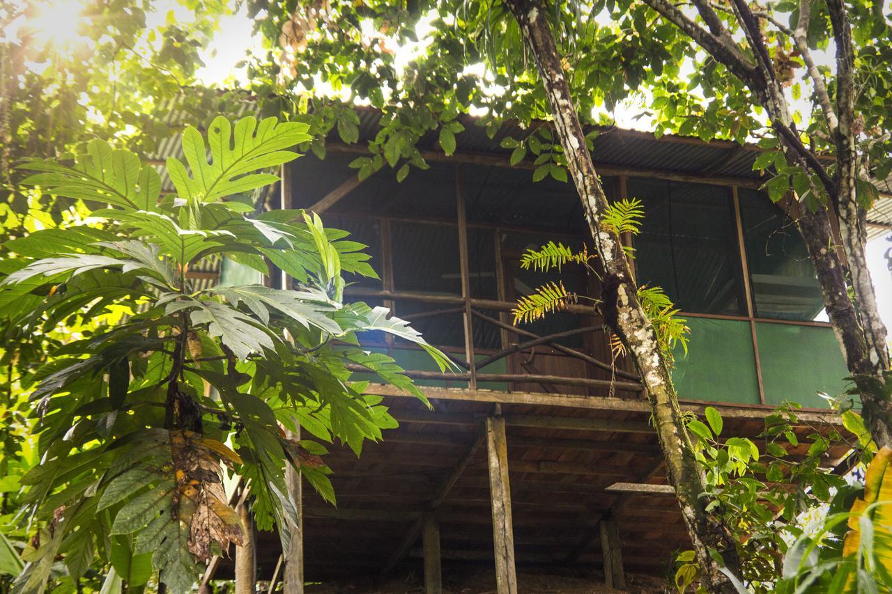 Naguala Jungle Lodge Drakes Bay エクステリア 写真