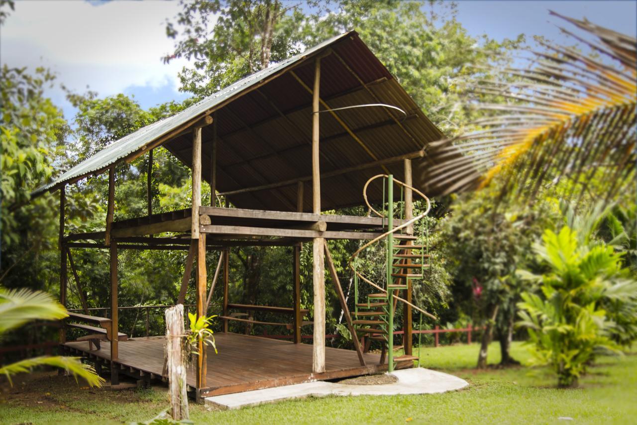 Naguala Jungle Lodge Drakes Bay エクステリア 写真