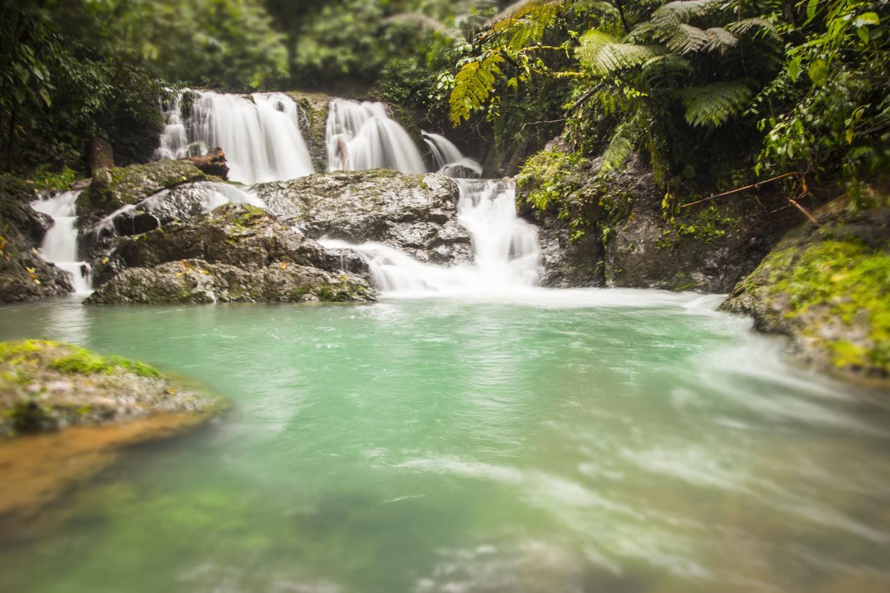 Naguala Jungle Lodge Drakes Bay エクステリア 写真