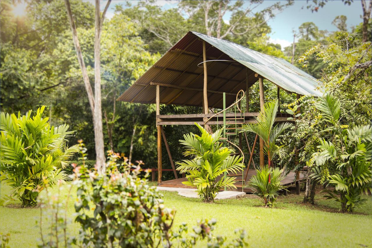 Naguala Jungle Lodge Drakes Bay エクステリア 写真
