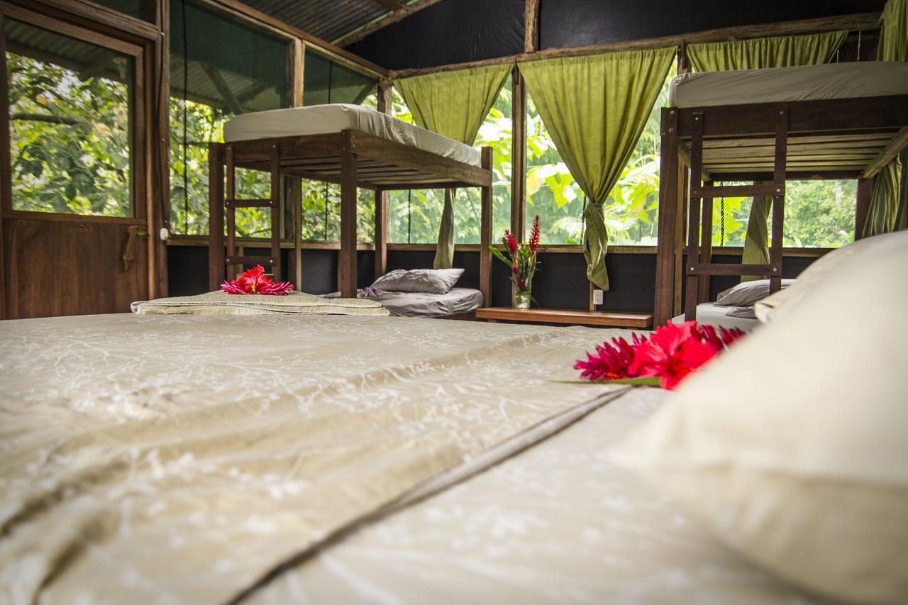 Naguala Jungle Lodge Drakes Bay エクステリア 写真